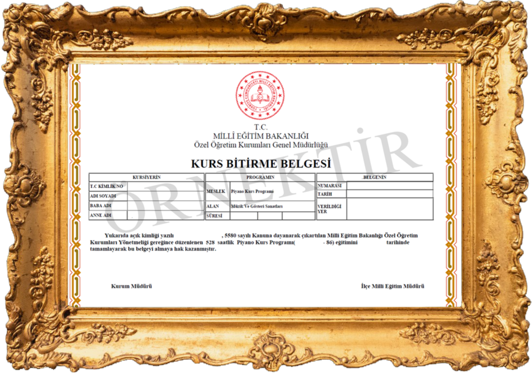 (MEB) Onaylı Sanat Sertifikası